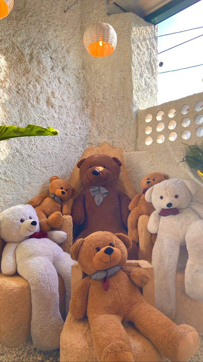 Teddy Bear