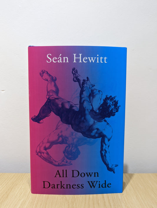 All Down Darkness Wide - Sean Hewitt - Reading Books
