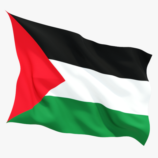 Palestinian Flag