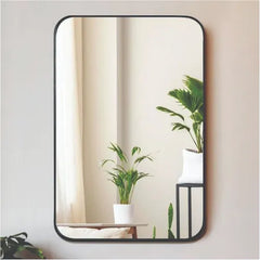 Curved looking Mirror