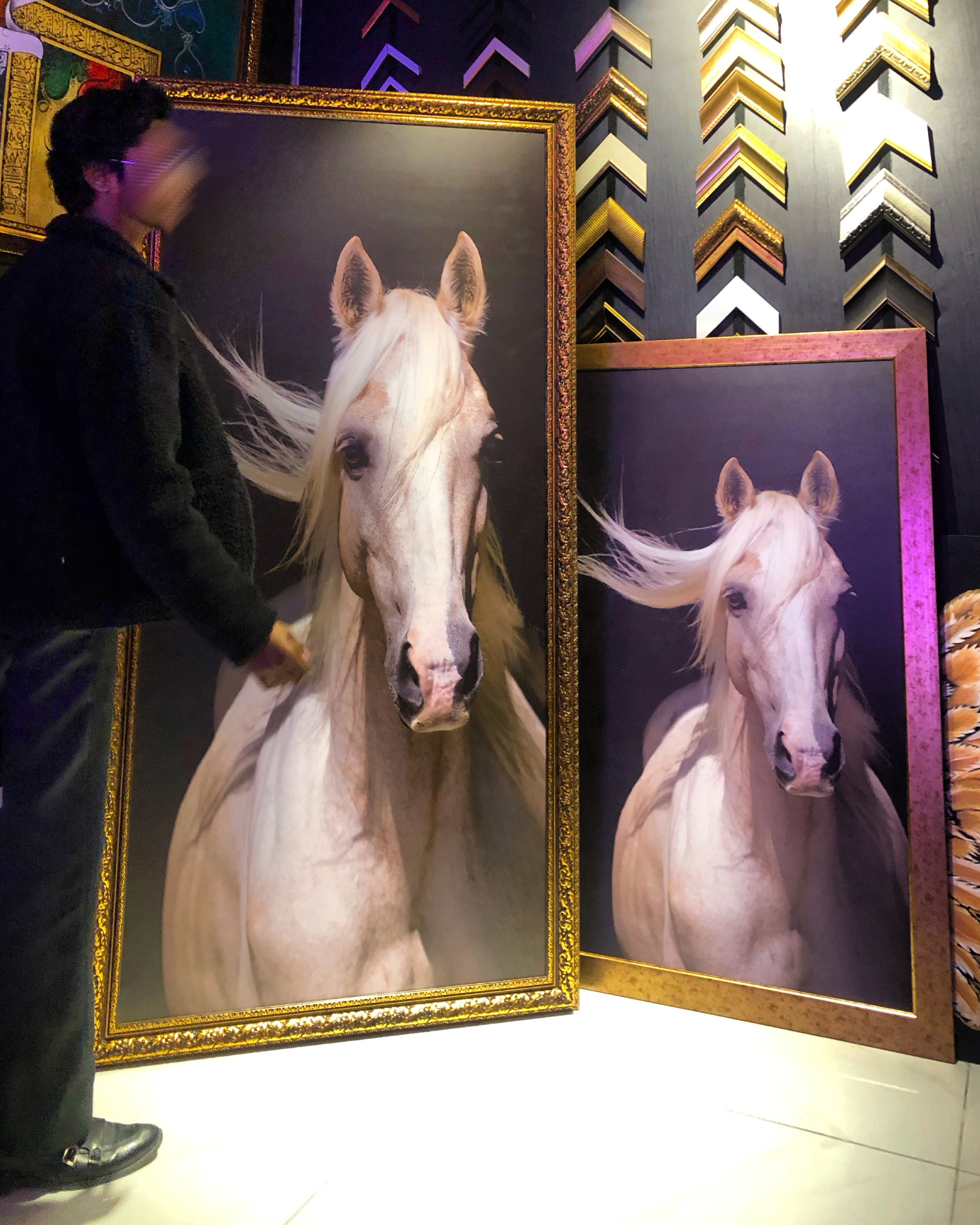 White Horse