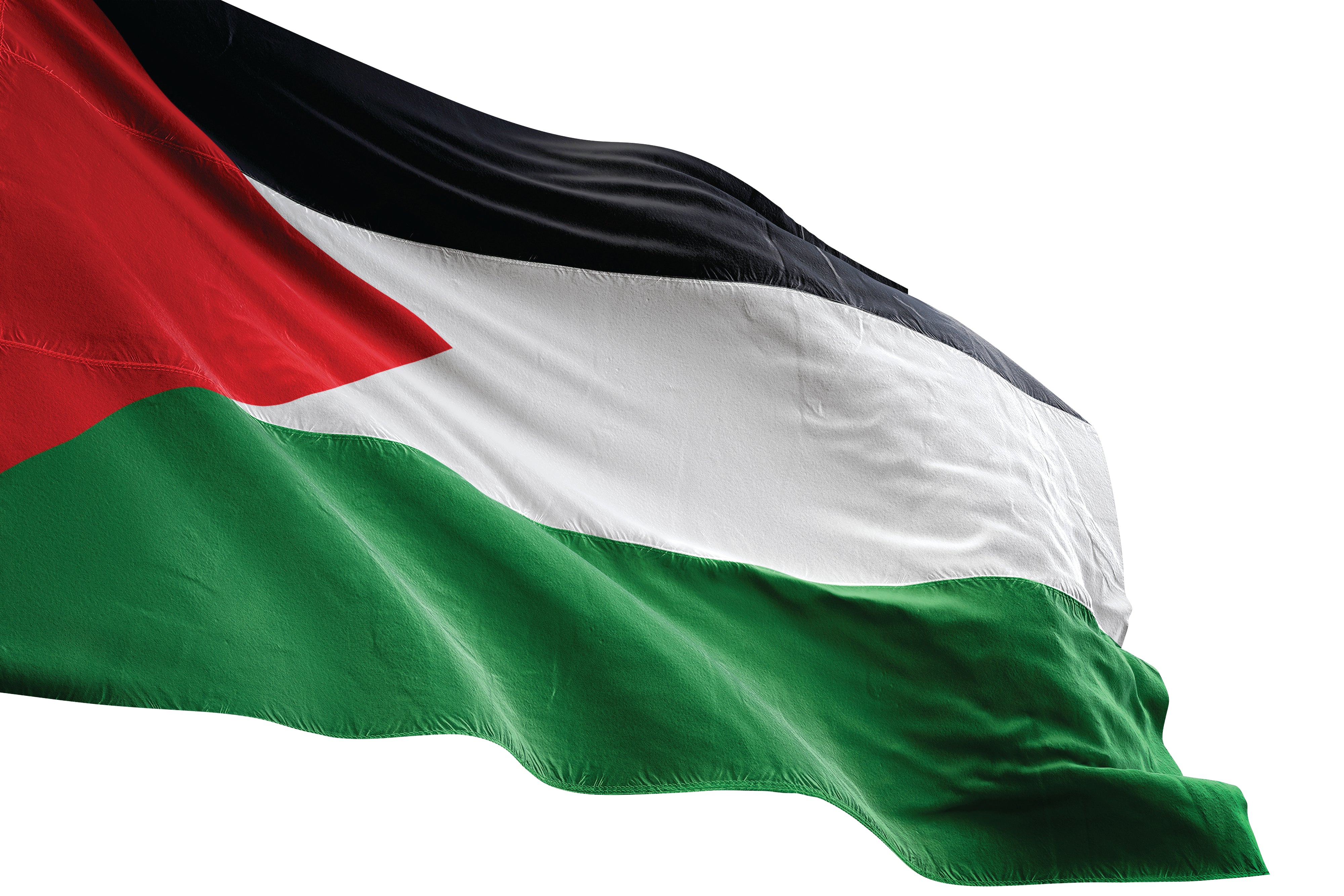 Palestinian Flag