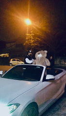 Teddy Bear