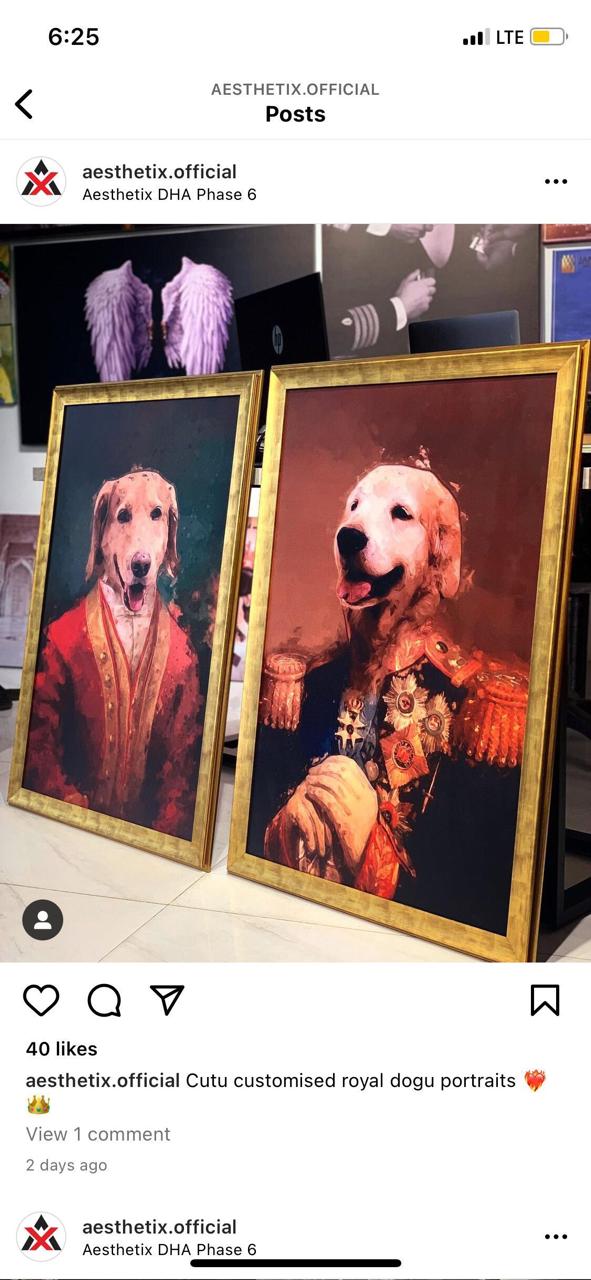 Custom Pet Colored Portrait