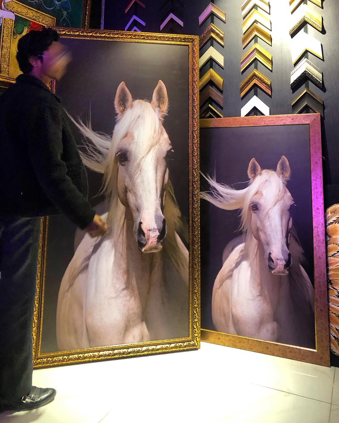 White Horse