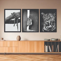 B&W aesthetic bundle set of 3 beware of dog - wall art