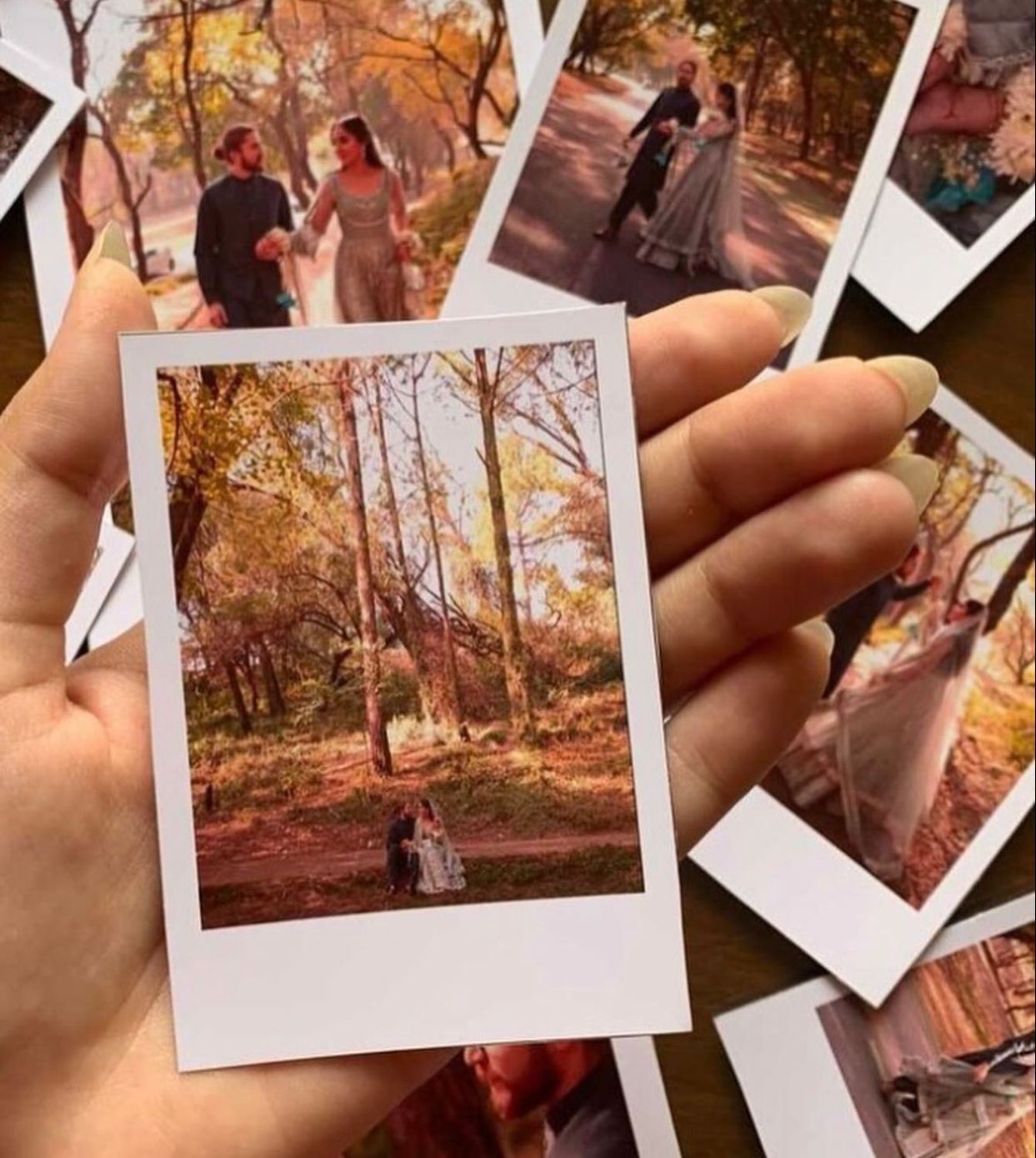 polaroids