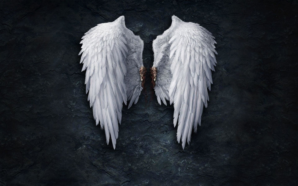 angel wings