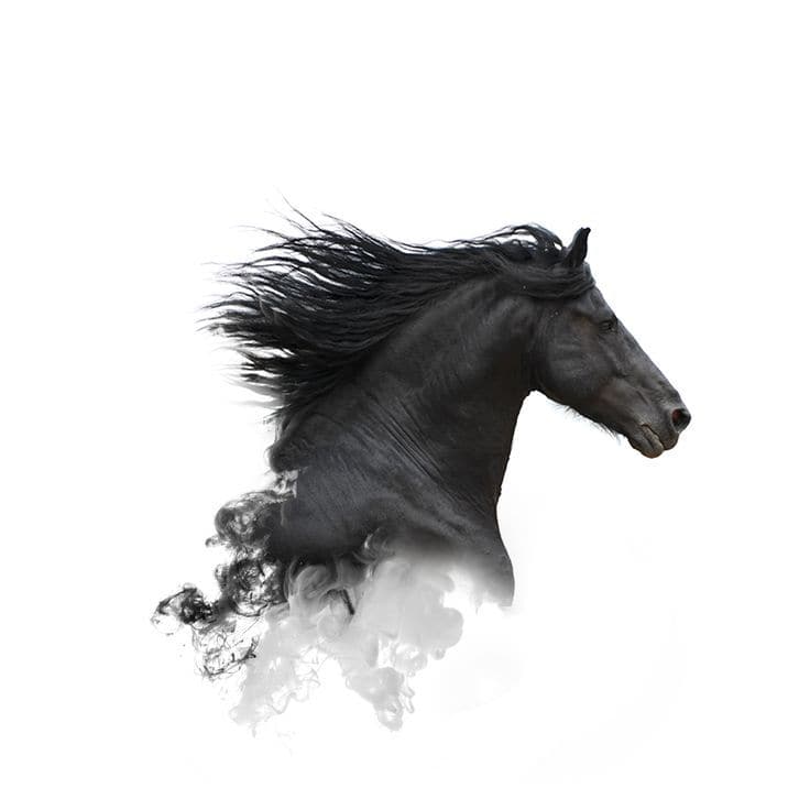 Contemporary Horse
