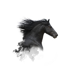 Contemporary Horse