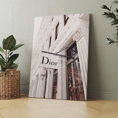 Dior aesthetic outlet