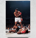 Muhammad Ali Fight - Boxing