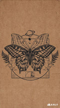the butterfly