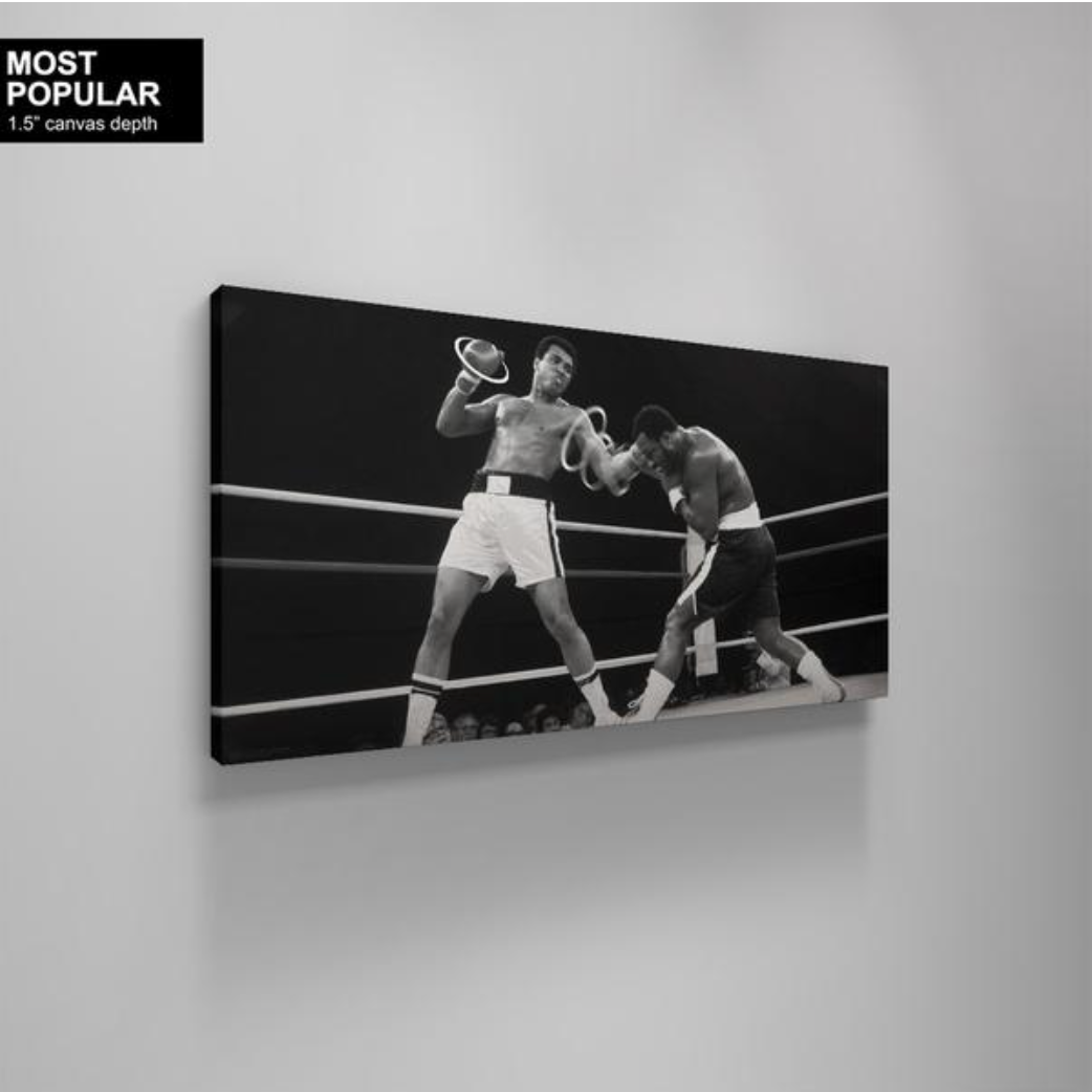 Muhammad Ali Sting - Boxing