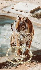 Gucci tiger