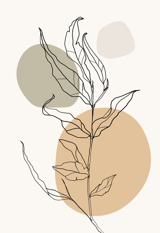 Boho Line Art