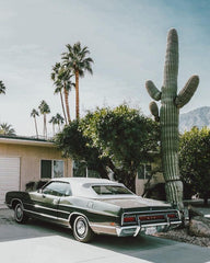 Vintage Car Desert Cactus