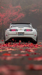 Toyota Supra Car