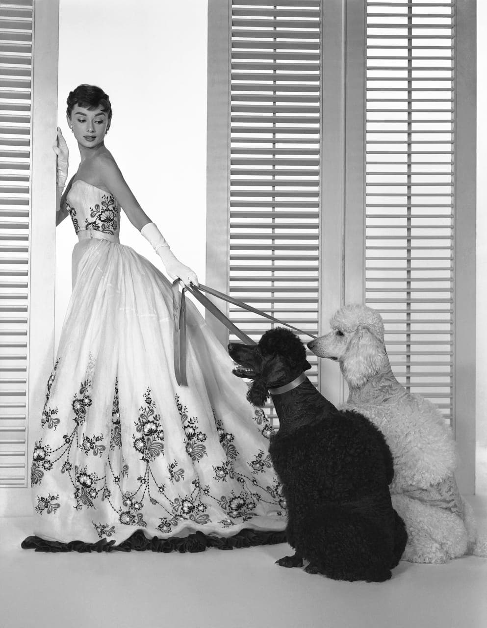 Audrey: The 50s