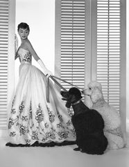 Audrey: The 50s