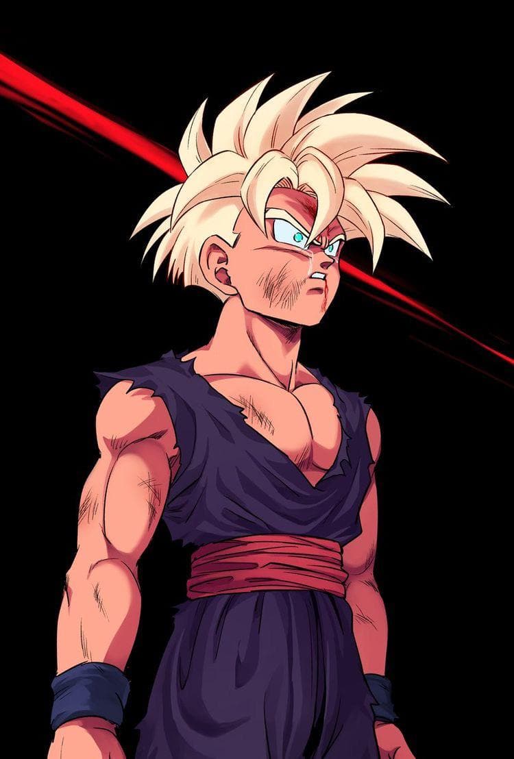 goku boy