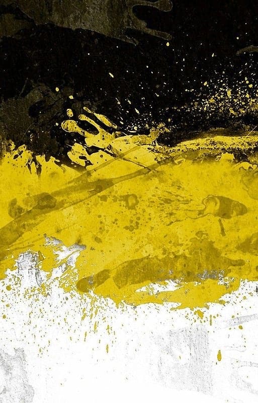 Czar's flag