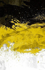 Czar's flag