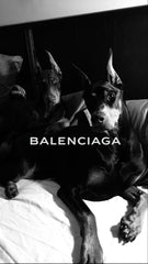 Balenciaga Dobermann
