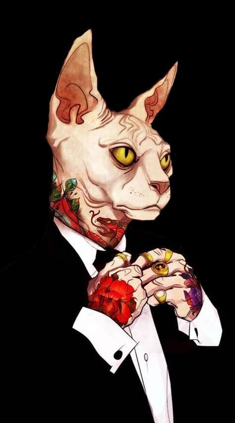 the gentlecat