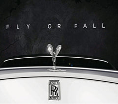 Fly Or Fall