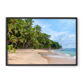 Live Product Options Frame Size & Color